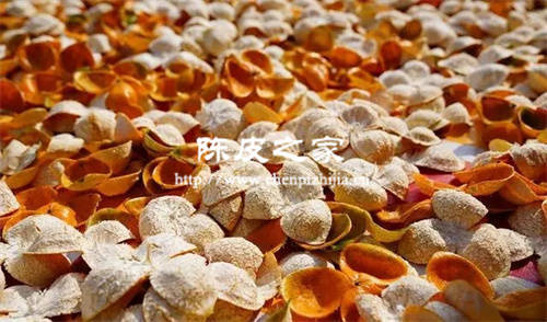 陈皮生姜红糖泡水喝的功效和作用